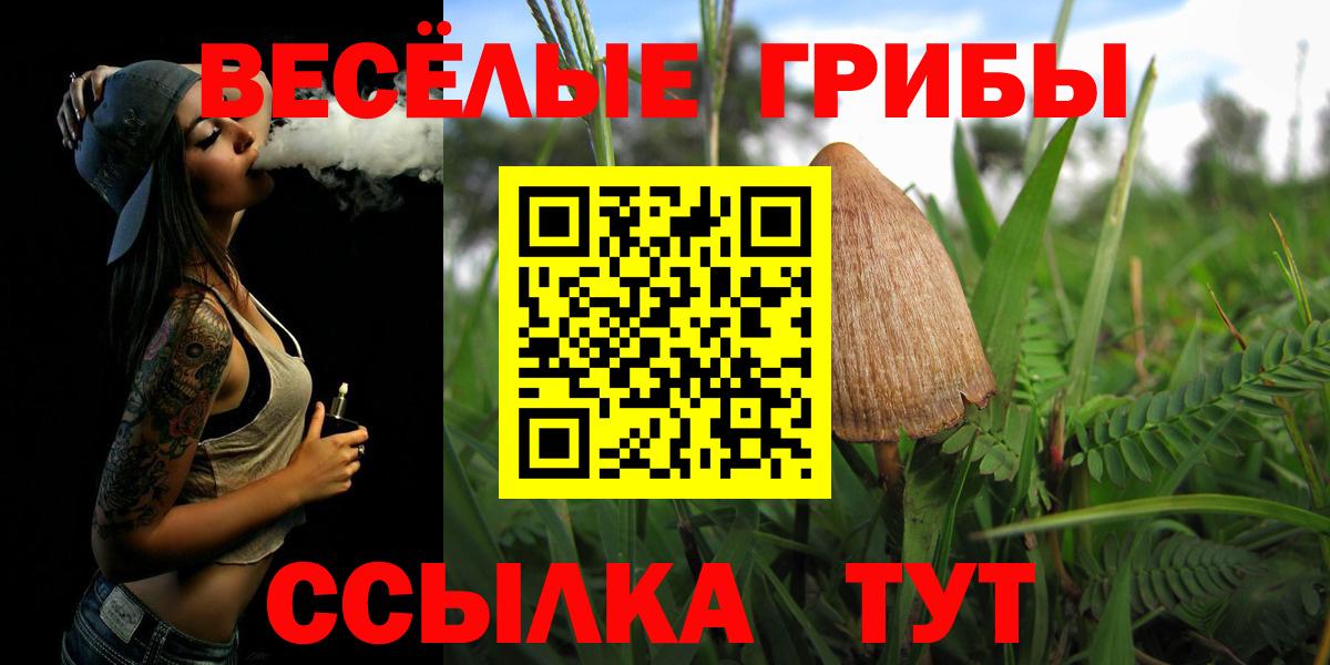 Нижнекамск  Галлюциногенные грибы Cubensis  Вход с VPN 