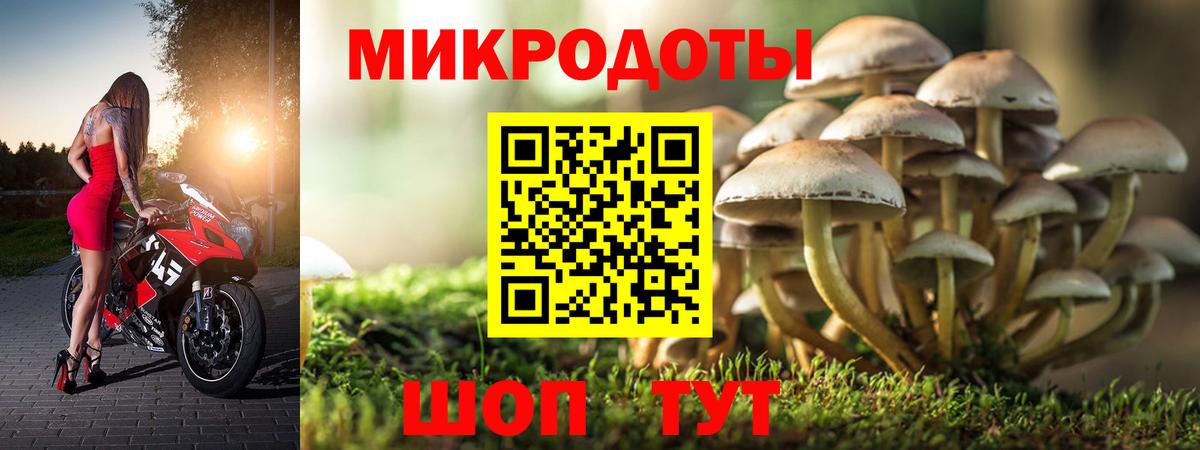 Псилоцибиновые грибы прущие грибы Нижнекамск